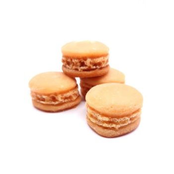 LOTUS MACAROON WAX MELTS