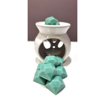 WOOD SAGE & SEA SALT WAX MELTS