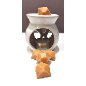 APPLE-CINNAMON WAX MELTS