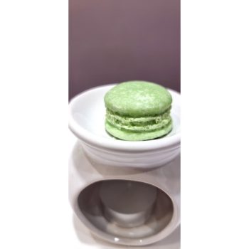 PISTACHIO MACAROON WAX MELTS