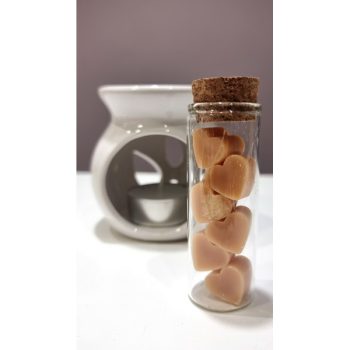 MINI CHOCO HEARTS WAX MELTS